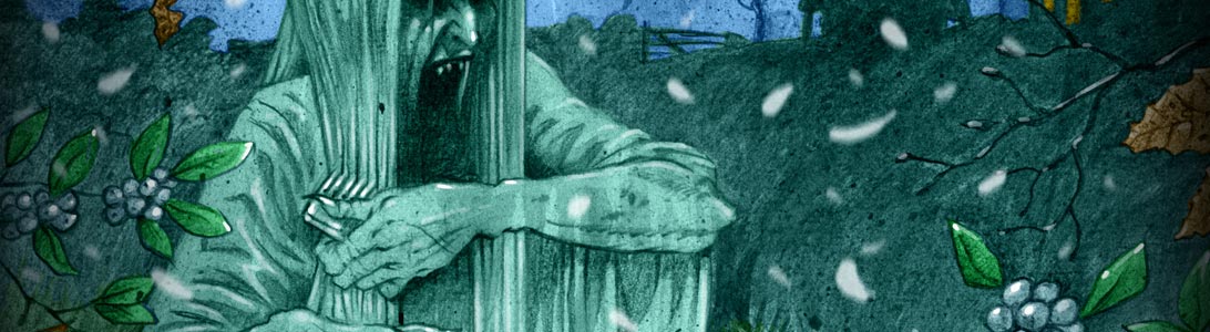 detail of scary horror colour book illustration of irish banshee