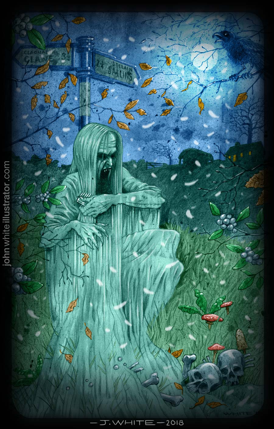 scary horror colour book illustration of irish banshee